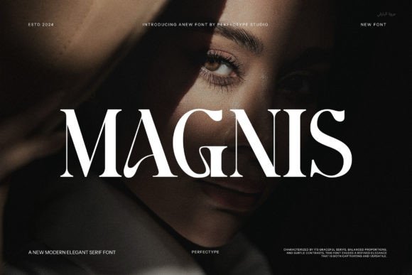 How Magnis Font Transformed My Small Business Branding
